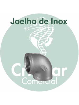 Joelho BSP Inox 90º