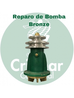 Reparo para Bomba D'água Centrifuga