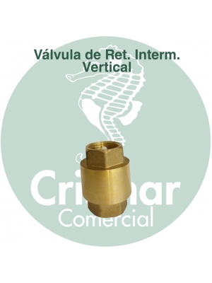 Válvula de Retenção Vertical