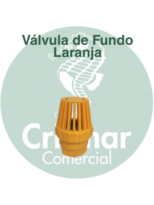 Vávulas de Fundo PVC