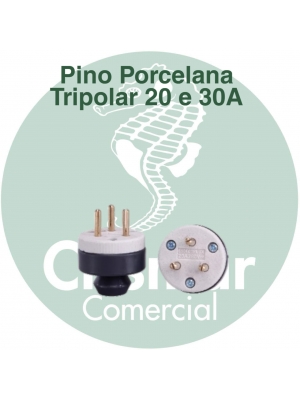 Pino Porcelana Tripolar