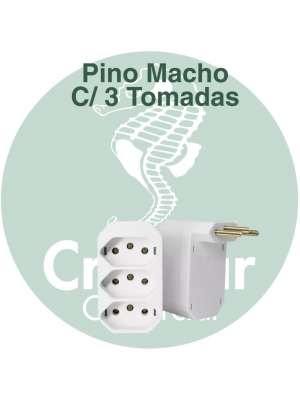 Pino Macho C/ 3 Tomadas