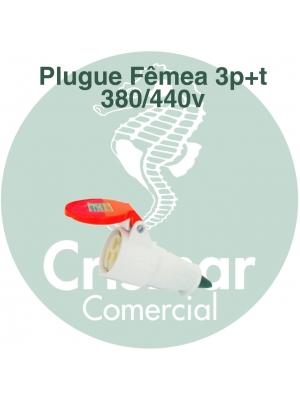 Plug Fêmea Industrial 3P+T 380/440v