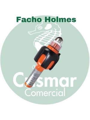 Facho Holmes