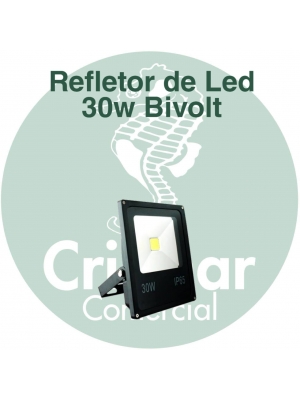 Refletor de Led 30W