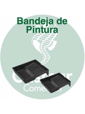 Bandeja de Pintura