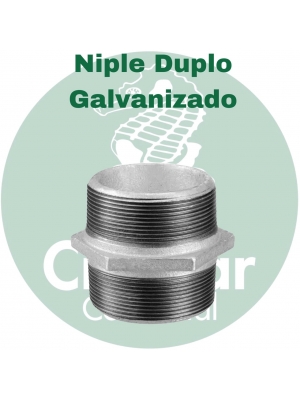 Niple duplo Galvanizado BSP Tupy