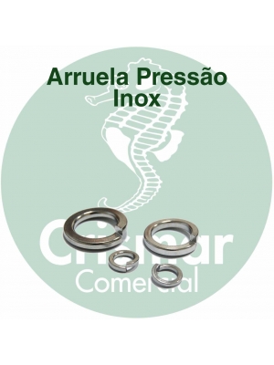 Arruela Pressão Inox