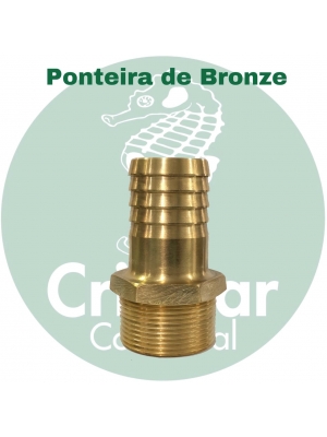 Ponteira de Bronze